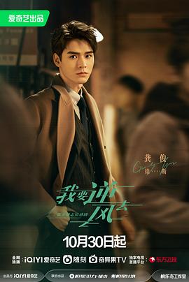 珠海网站优化代理价格